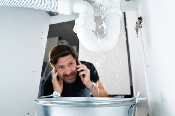 Best Plumbing Services Near Me  in Onsted, MI